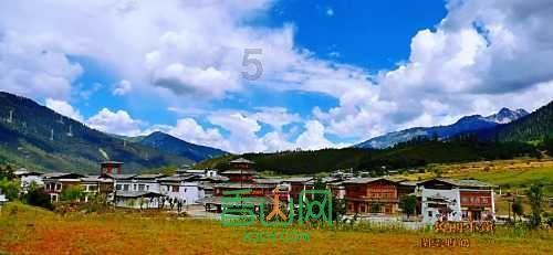 加入烟台市小麦播种和收获的季节分别是,探索知识的新天地